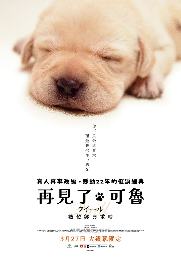 《再見了，可魯》描述導盲犬可魯的故事。采昌國際提供