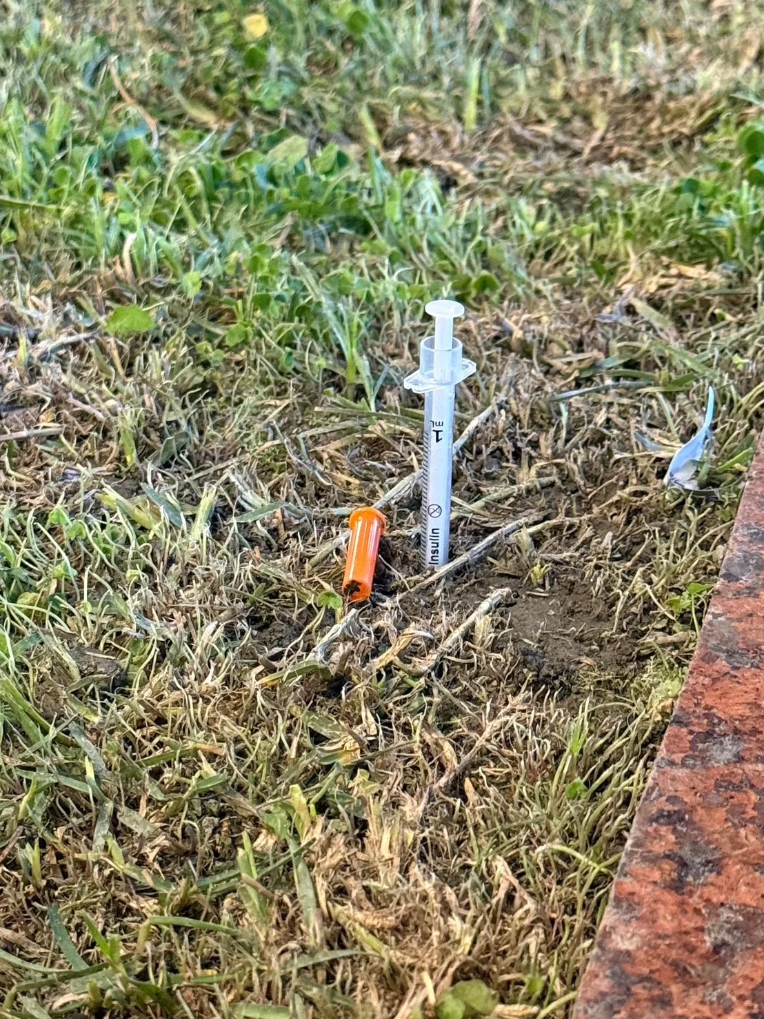 警方在案發現場附近花圃中發現一支插在土裡的針筒。翻攝畫面