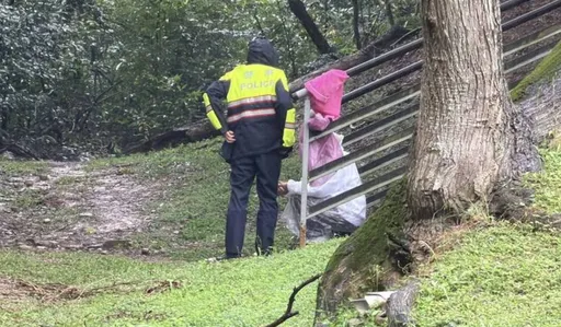 驚悚！桃園18歲女疑廁所產子後赴公園埋嬰　警連夜開挖暫未尋獲