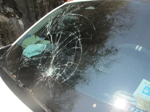 中橫公路樹木突倒塌　砸碎轎車前擋風玻璃！1車3人嚇壞了