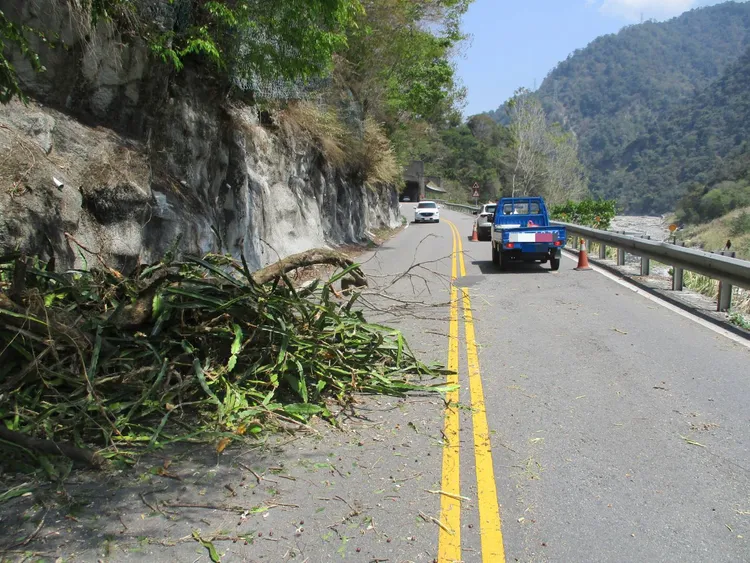 中橫公路樹木倒塌釀禍。民眾提供