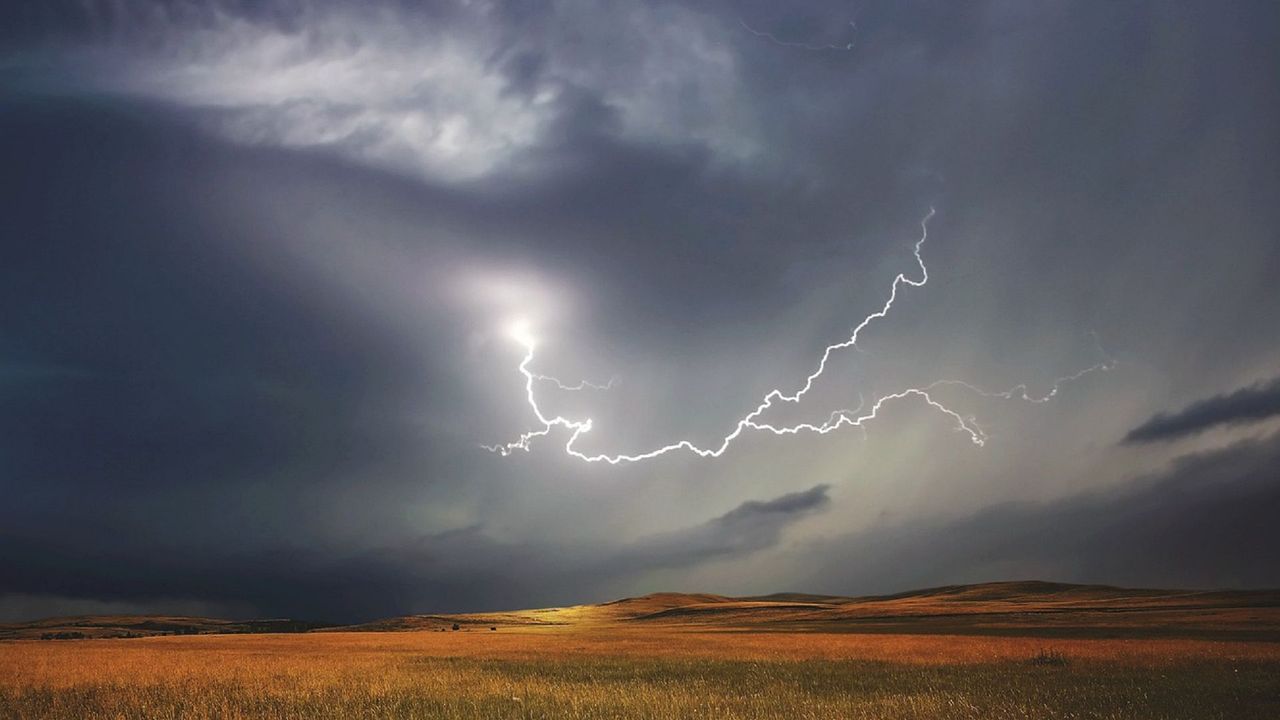 驚蟄帶動財運 5星座氣場吸金