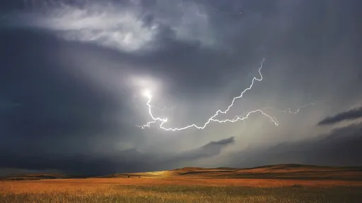 驚蟄帶動財運　5星座氣場吸金