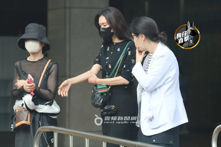 林志玲（中）返台就醫3小時挨針，醫護人員陪同做檢查。特勤中心攝