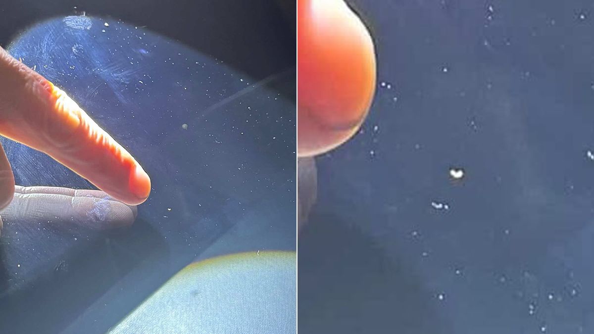 驚!租車出現1mm飛石划痕「要賠1.8萬元」 業者:傷及玻璃