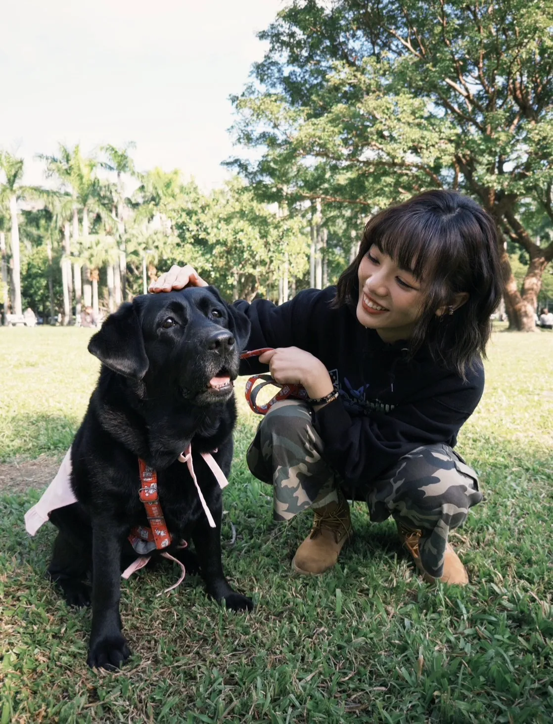 木木最新一期節目體驗當一日狗保母。華研國際提供