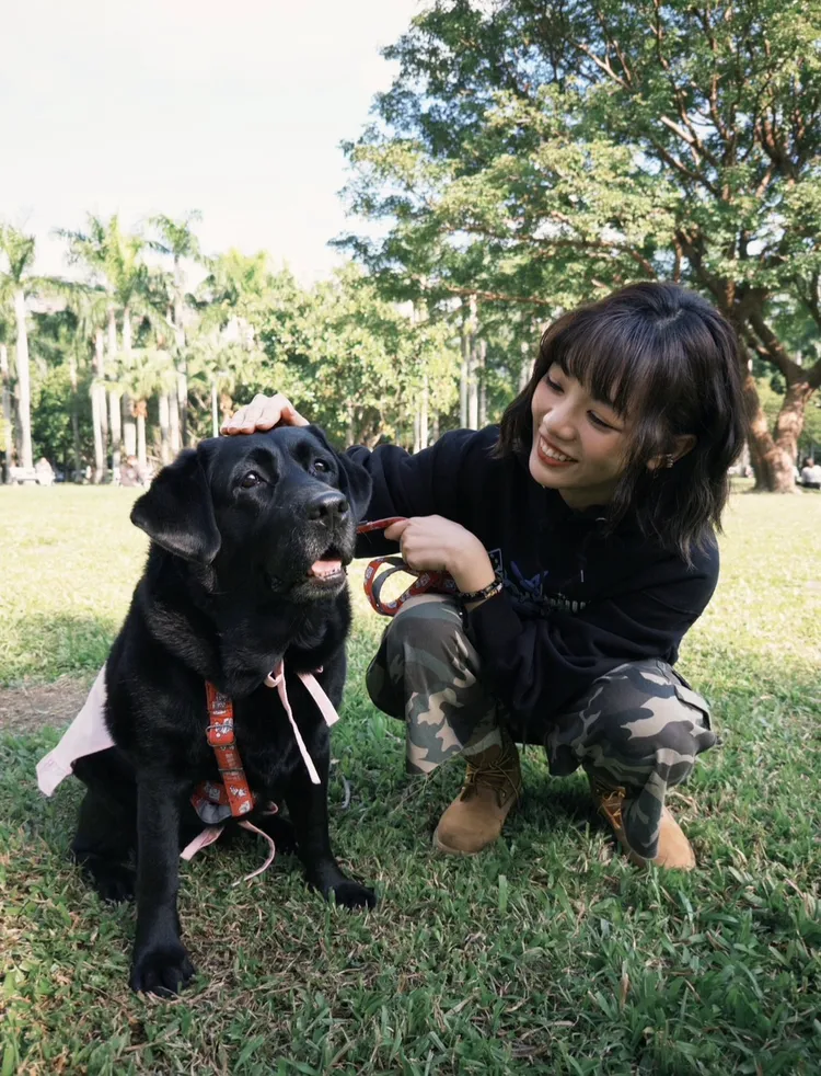 木木最新一期節目體驗當一日狗保母。華研國際提供