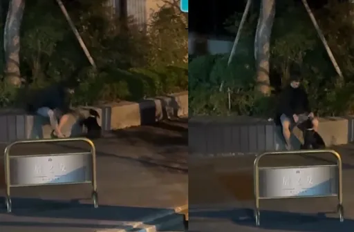 昨抽打黑犬今作勢菸燙！台中叼菸男再虐犬　動保處急扣犬隻送醫