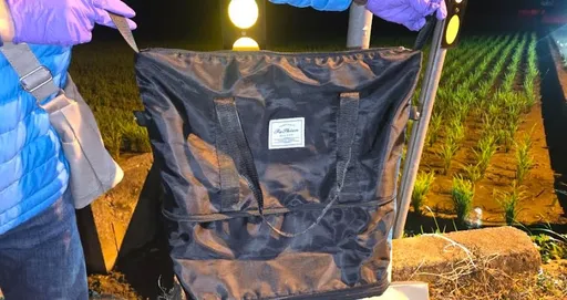 苗栗女會計偷老闆1500萬　買虛擬幣竟被搶走！7嫌落網只追回5萬