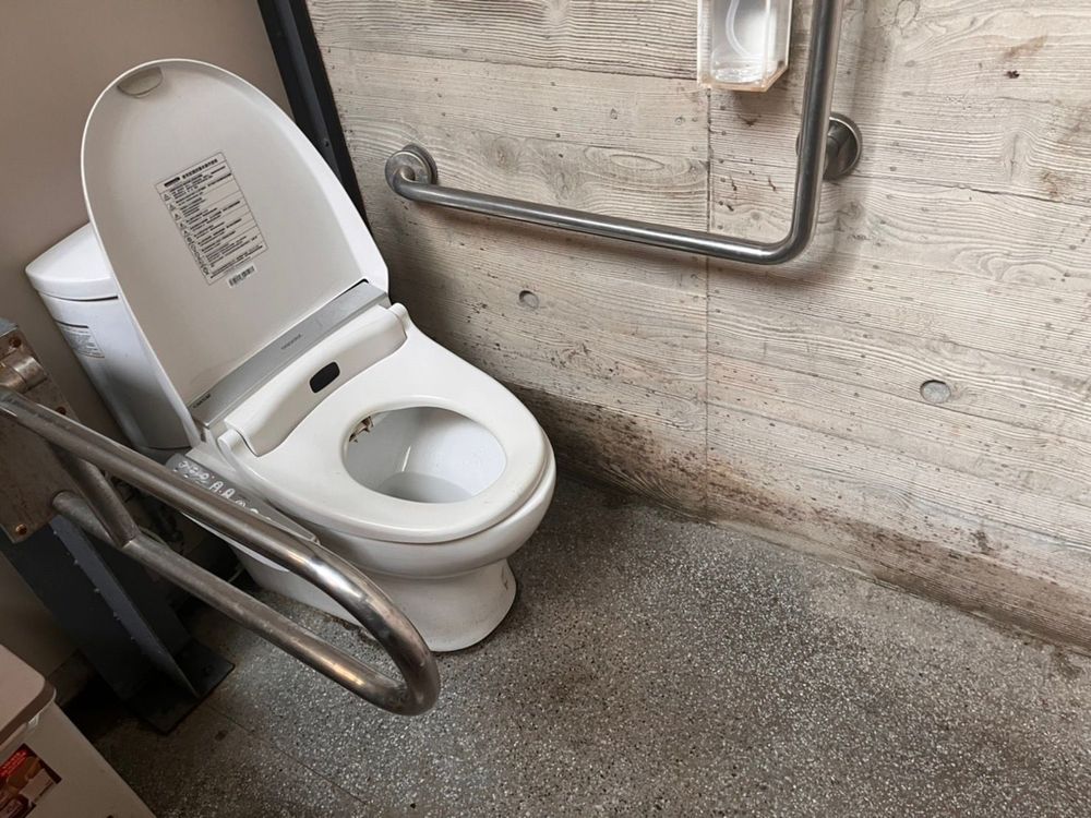 半年狂跑廁所竟罹雙癌!醫揭罕見「同時性大腸癌」警訊