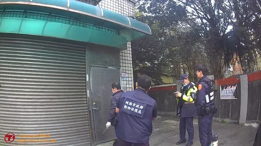 桃園動保處破獲非法繁殖場　救援34隻緬因貓依法重罰及移送法辦