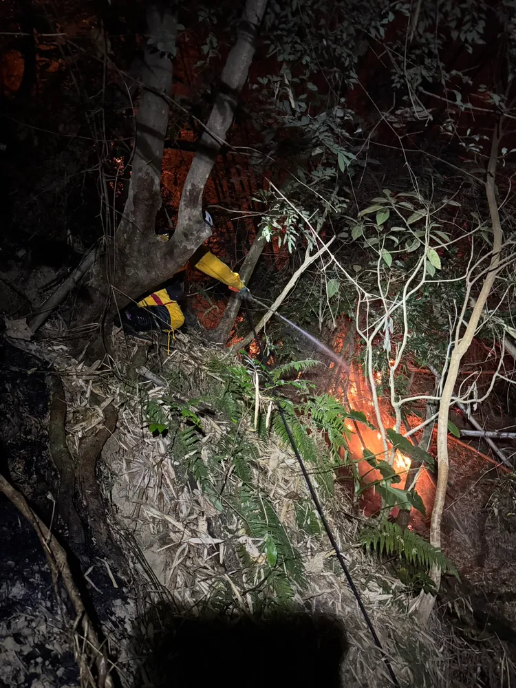 在跨單位協力合作下，已於30日上午成功控制火勢。翻攝畫面