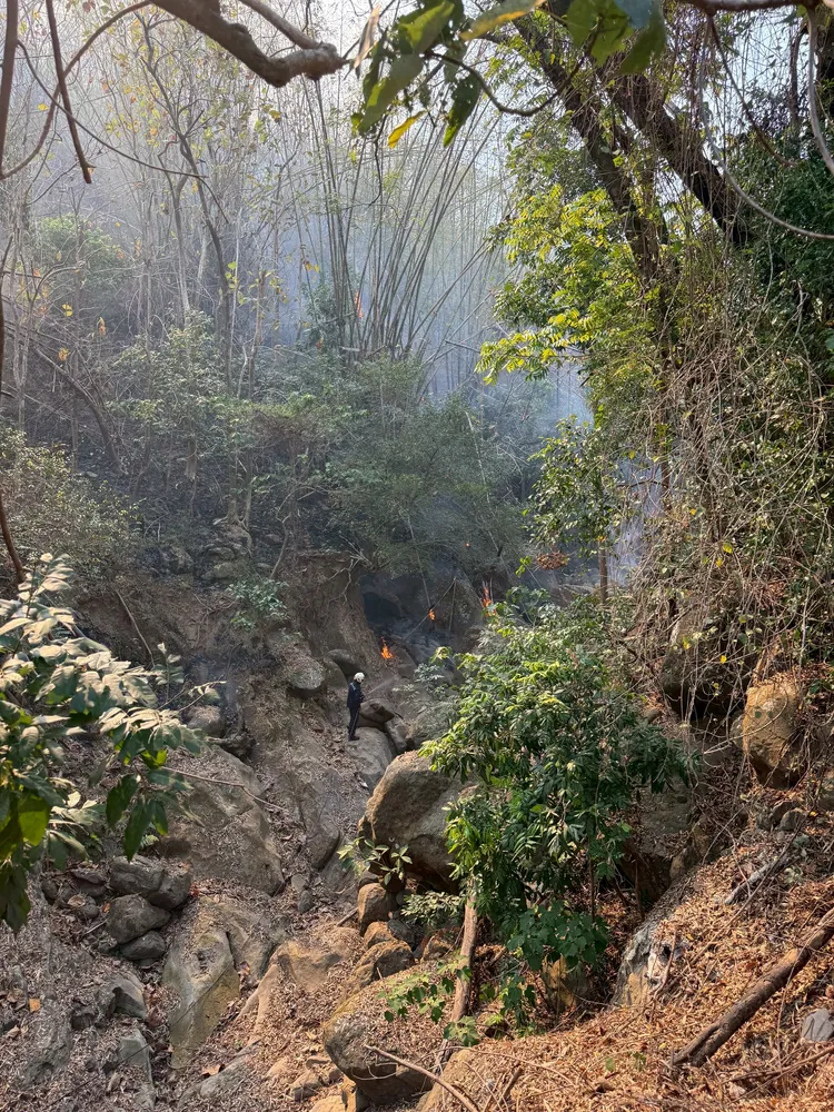 在跨單位協力合作下，已於30日上午成功控制火勢。翻攝畫面