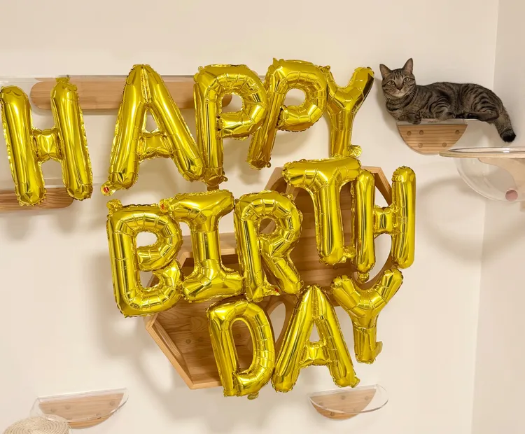 佐久間大介人在台灣，不忘幫今天生日的愛貓鮪魚慶生。翻攝佐久間大介X