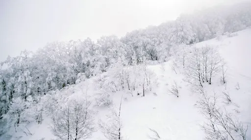 日本北海道雪崩　台灣登山客意識不清送醫