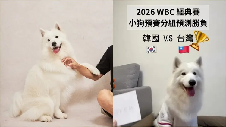 萊芙第四戰也預測臺灣獲勝。翻攝自萊芙IG