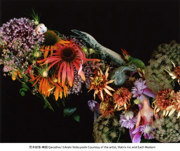 荒木經惟樂園 Qaradise。文化處提供