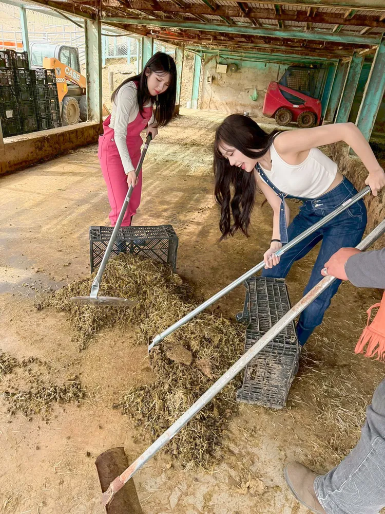 廉世彬擔任羊舍「鏟屎官」。Hami提供