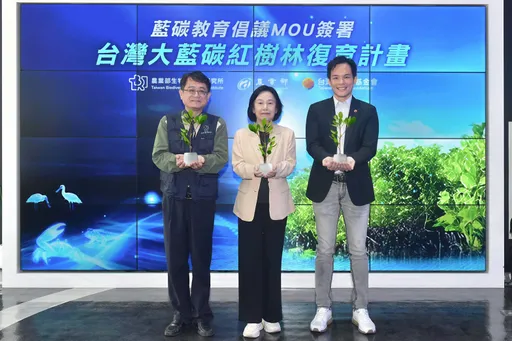 紅樹林變「吸碳神器」！台灣大哥大推藍碳教育　5個月吸碳82噸逆轉氣候變遷