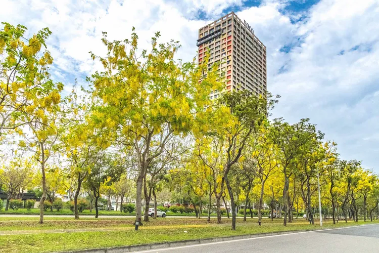 仁義潭九重葛在3月展現熱情奔放的姿態，也是嘉義不可錯過的賞花時機。業者提供