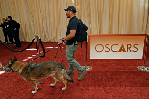 罕見！奧斯卡維安史上最嚴　新措施「嗅出不尋常」