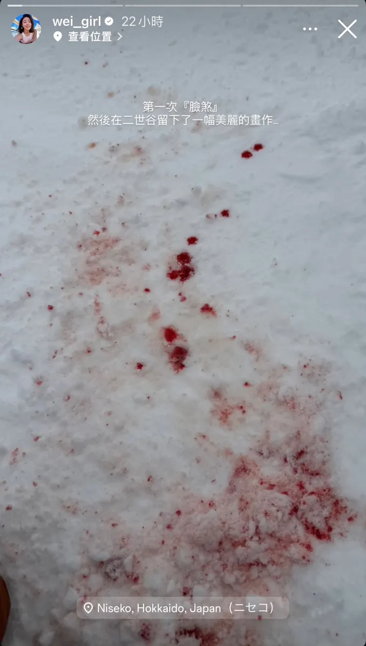 黃薇渟血染雪地，怵目驚心。翻攝黃薇渟IG