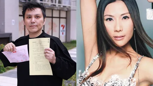 洪誠陽怒控被騙幾千萬　張淳淳7點聲明回應了