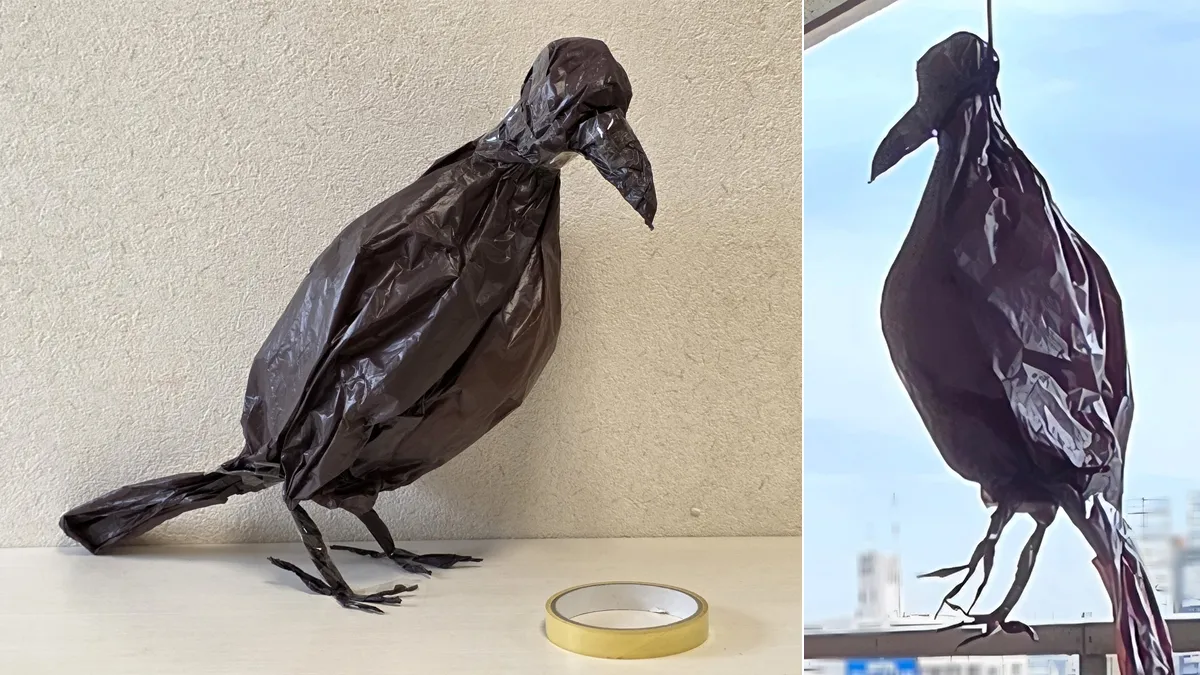 她巧手打造「塑膠袋烏鴉」嚇退討亂鴿子　結果自己也嚇到尖叫