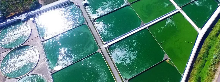 遠東生技選址屏東大武山，以純淨礦泉水與充足日照培育藍綠藻，透過自然光合作用成長，孕育純淨無污染的優質微藻，守護全家健康。（圖/遠東生技）