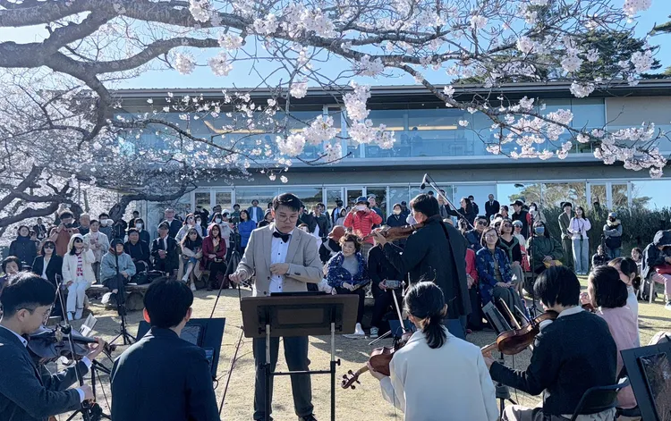 百年樹下音樂會。李朝永提供