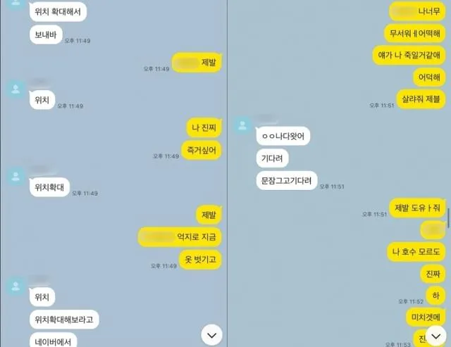 受害女BJ曝光當時傳給經紀人的求救簡訊，提到金男企圖性侵，「他可能會殺了我」。翻攝韓國日報