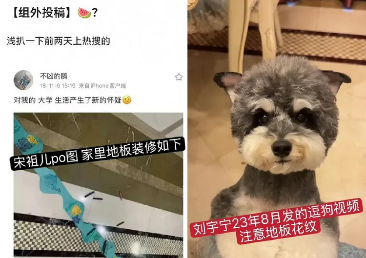 網友指宋祖兒的家中地板圖案（左圖）與劉宇寧家的（右圖）一樣。翻攝微博