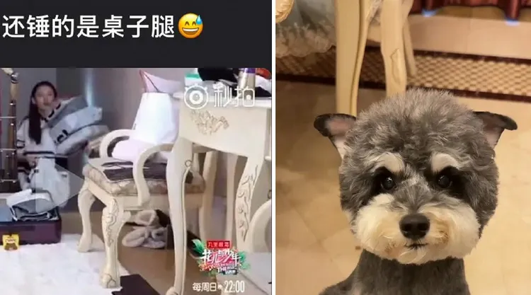 宋祖兒家的椅腳圖案（左圖）與劉宇寧家的（右圖）也被說是同款。翻攝微博