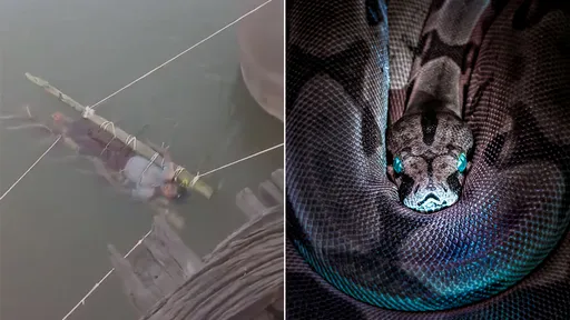 巫師教「綁浸恆河除蛇毒」家屬真信　13歲少年泡聖水12小時枉死