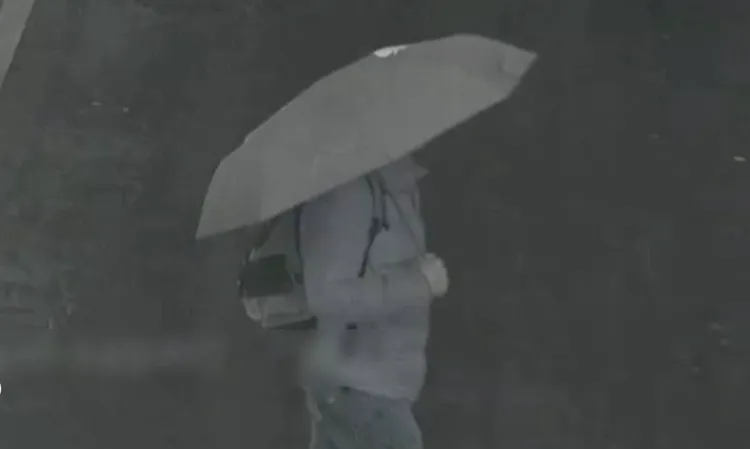 警方公布死者過馬路時衣著特徵，希望有人可以幫忙指認身分，聯繫家屬。翻攝畫面