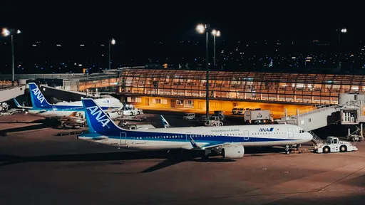 50歲台女走私4公斤「喪屍煙彈」　入境羽田機場遭逮