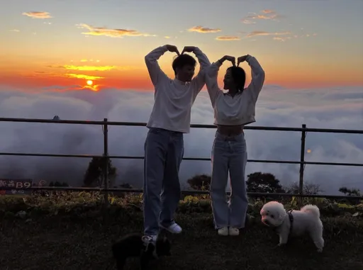 台南女警車禍喪命！　男友殯儀館蹲地崩潰　檢警相驗死因出爐