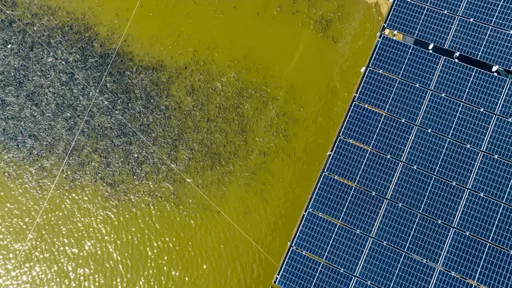 台泥綠能攜手島內散步　推全台首場「漁電農村觀光」