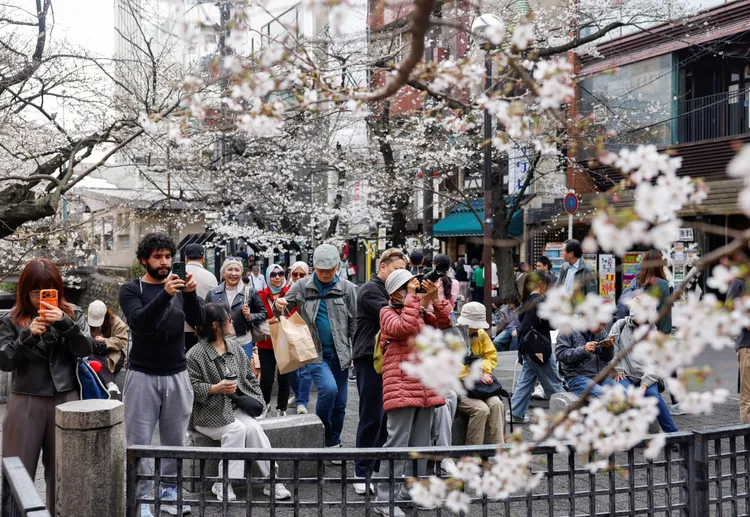圖為東京3月間賞櫻景象。路透社資料照片