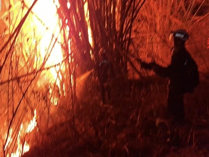 慎終追遠兼顧環境安全！高市府推「4不1要」防範清明火災