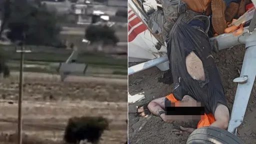 影片｜墨西哥小飛機倒栽墜毀　機上4人全部喪命