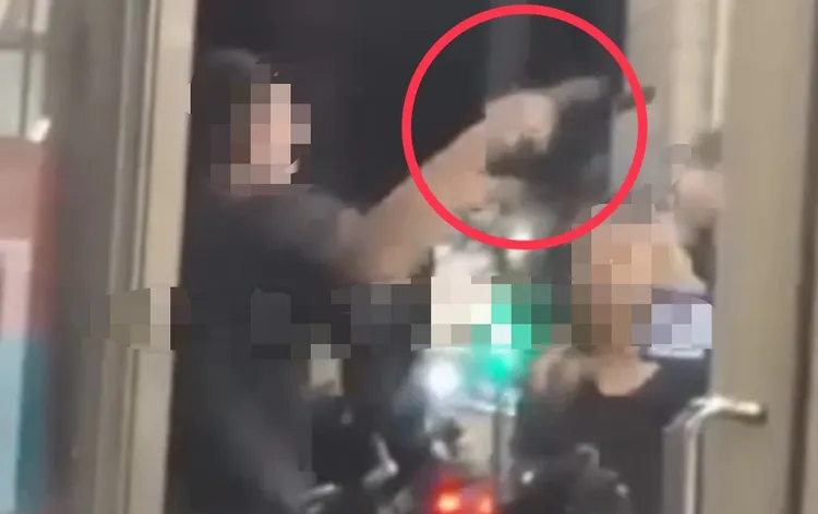 民眾目擊過程拍下影片PO網，引發網友議論。翻攝照片