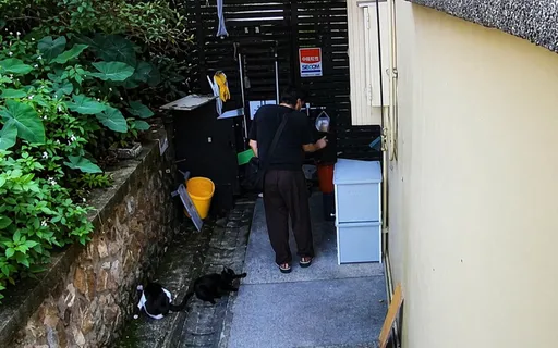 侯硐5貓遭辣椒水噴臉！28歲惡男落網竟扯「心情差」