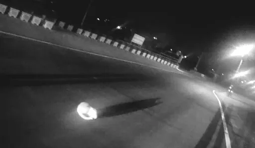 流浪貓頭部受困！道路上驚慌掙扎　東港警即刻救援