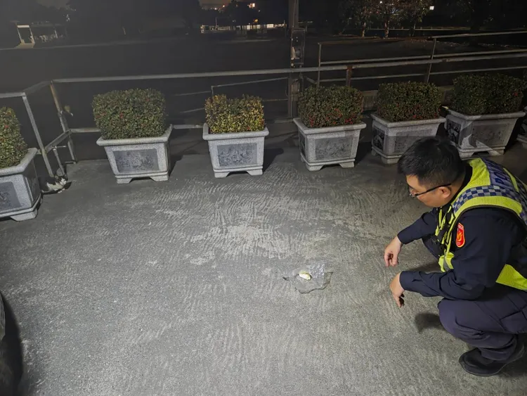 流浪貓頭部受困塑膠袋，在道路上驚慌掙扎，所幸及時脫困。翻攝畫面