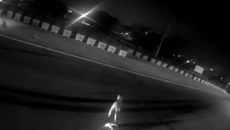 流浪貓頭部受困塑膠袋，在道路上驚慌掙扎，所幸及時脫困。翻攝畫面