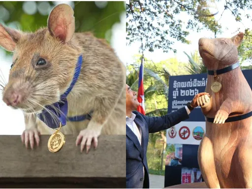 有一技之長！史上最受歡迎老鼠　人們愛到為牠立雕像