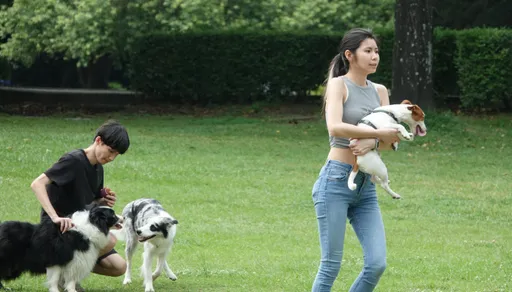 爭議過大！農業部寵物用藥制度急喊卡　現行機制先維持運作