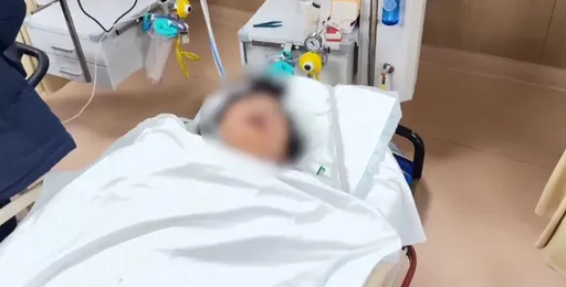 53歲單身無親戚女子猝逝　2791萬遺產法官判決了