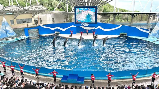 花蓮海洋公園經典海豚秀走過10年　今天畫下句點